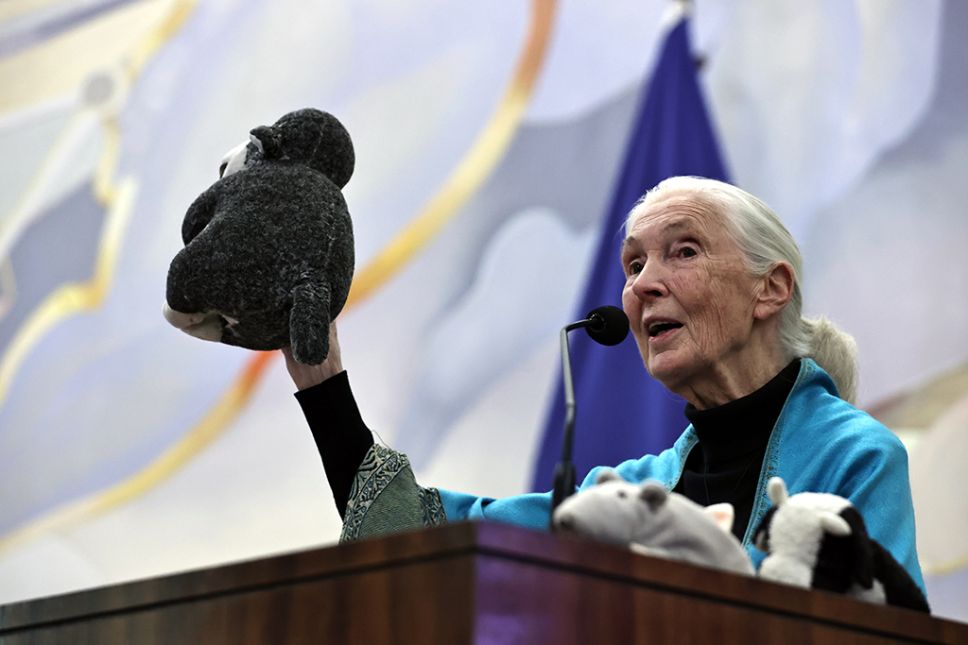 En la instancia ofreció una charla magistral sobre su trabajo investigando a los chimpancés, titulada "Razones para la esperanza".
